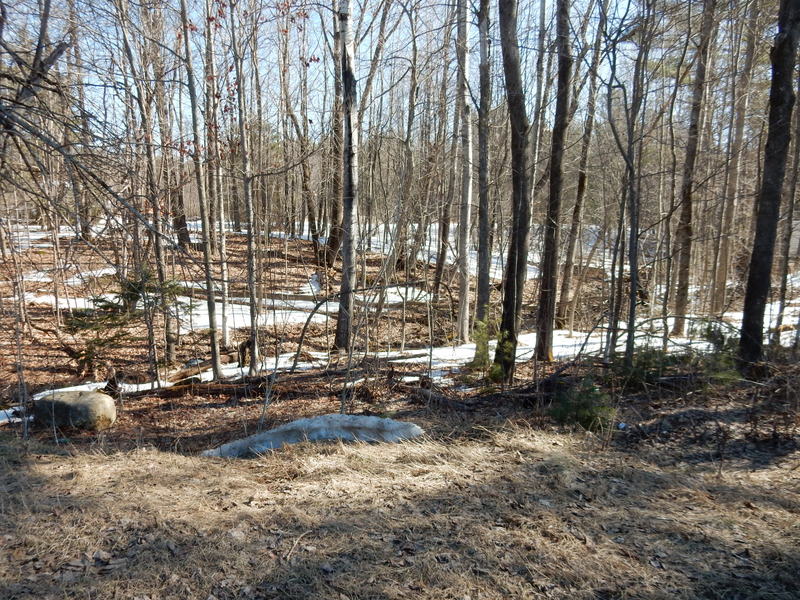 Gore Mountain Real Estate Company of the Adirondack Park presents